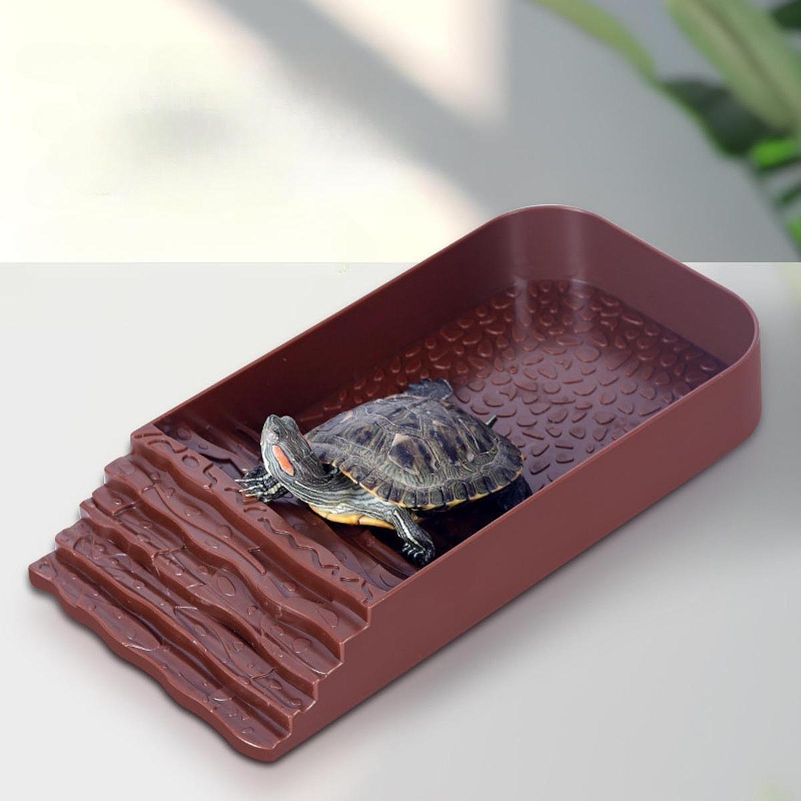 Feeding - Plato de Agua Grande para Tortugas,